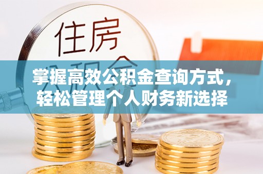 宜兴掌握高效公积金查询方式，轻松管理个人财务新选择