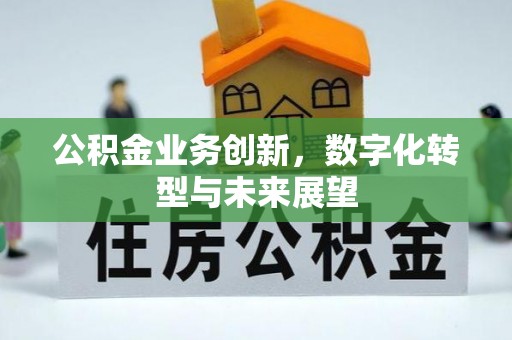 宜兴公积金业务创新，数字化转型与未来展望