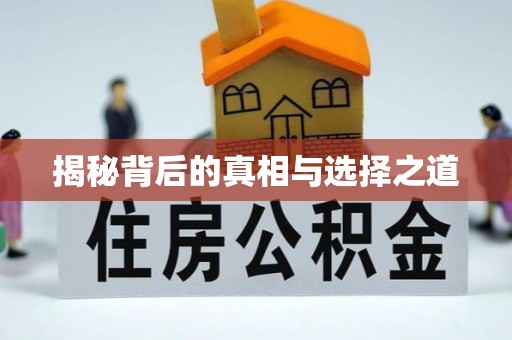 宜兴揭秘背后的真相与选择之道
