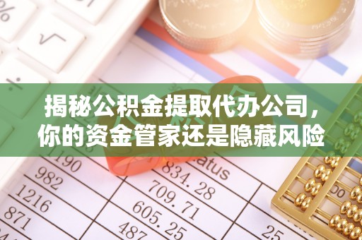 宜兴揭秘公积金提取代办公司，你的资金管家还是隐藏风险？