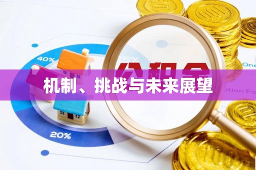 宜兴机制、挑战与未来展望